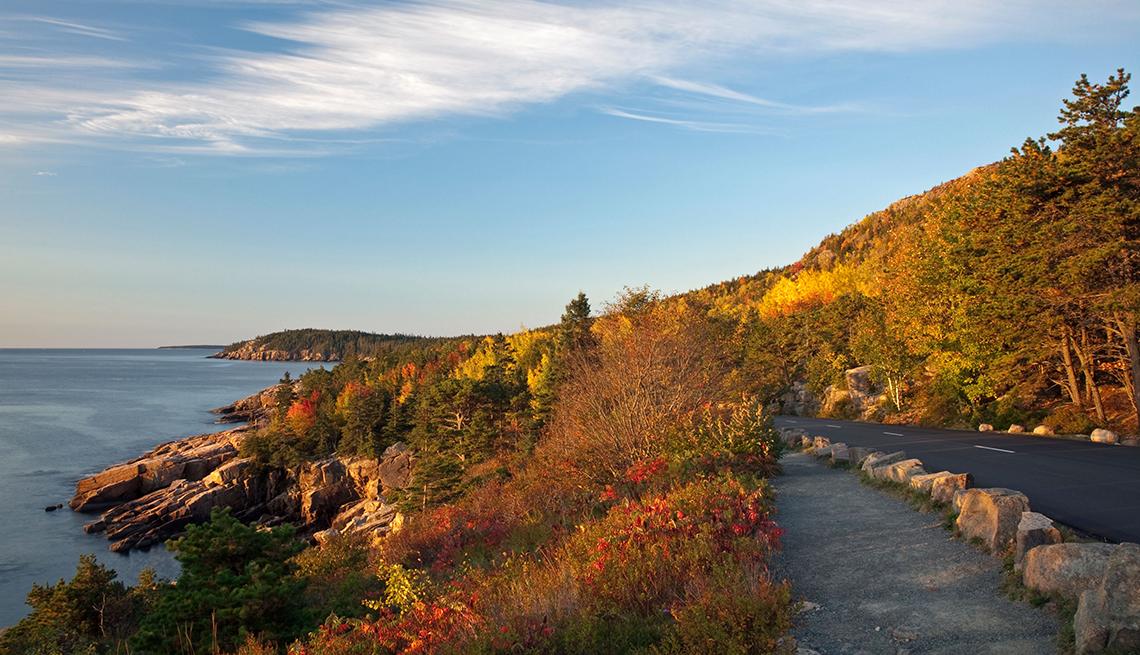 Acadia coastal road with autumn foliage
