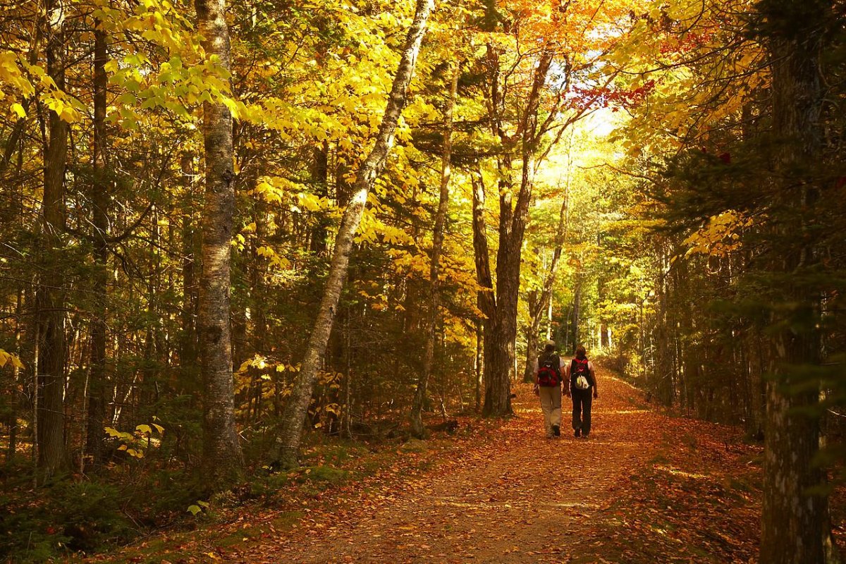 Fall Foliage Hikes in National Parks Worth It