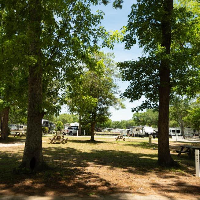 Affordable Myrtle Beach RV campsite