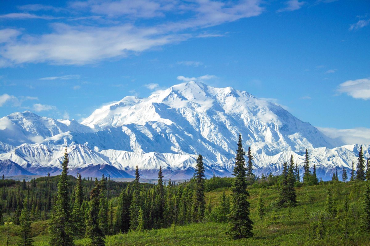 Denali mountain Alaska wilderness