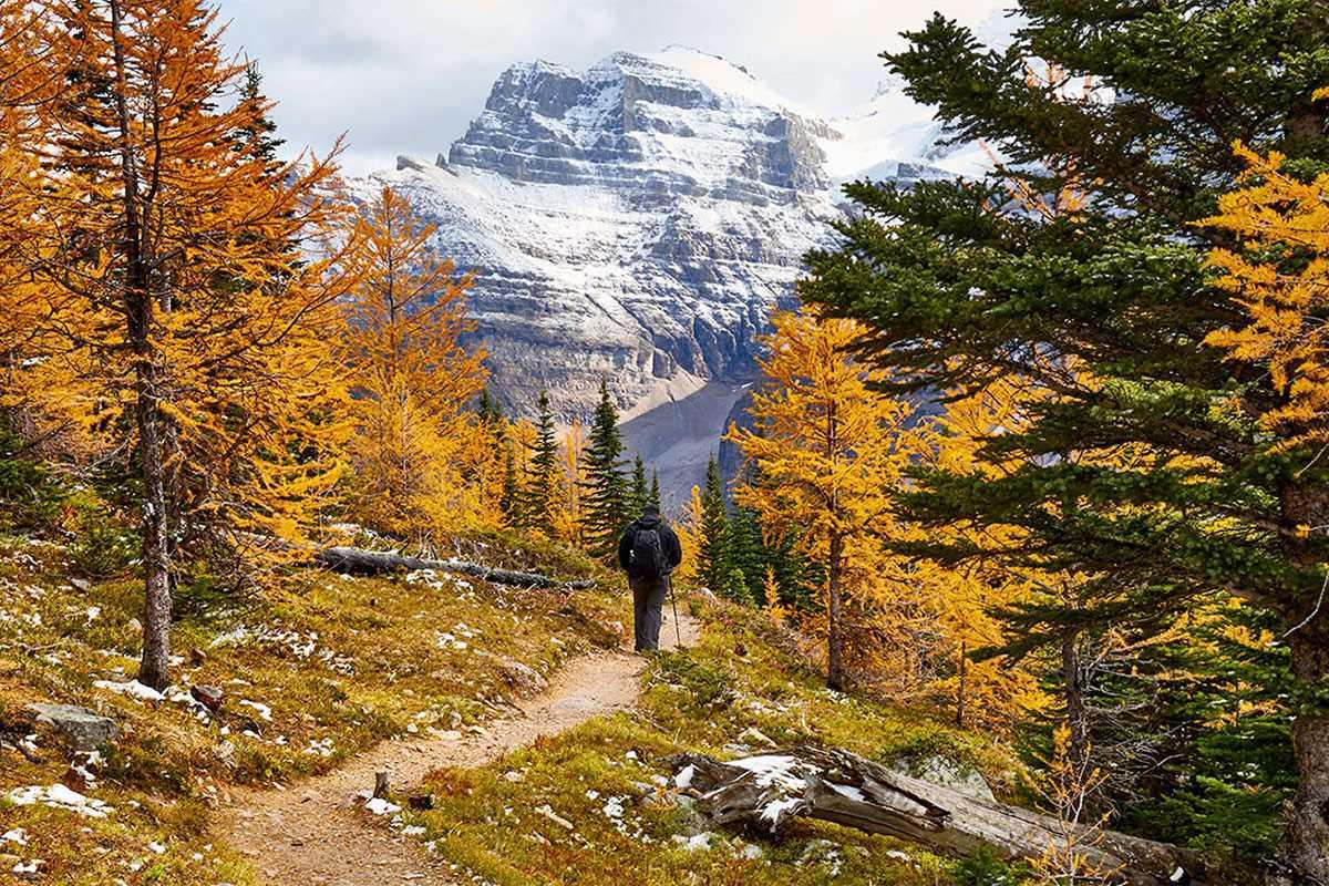 Autumn Hiking Trails Canada for Fall Adventures