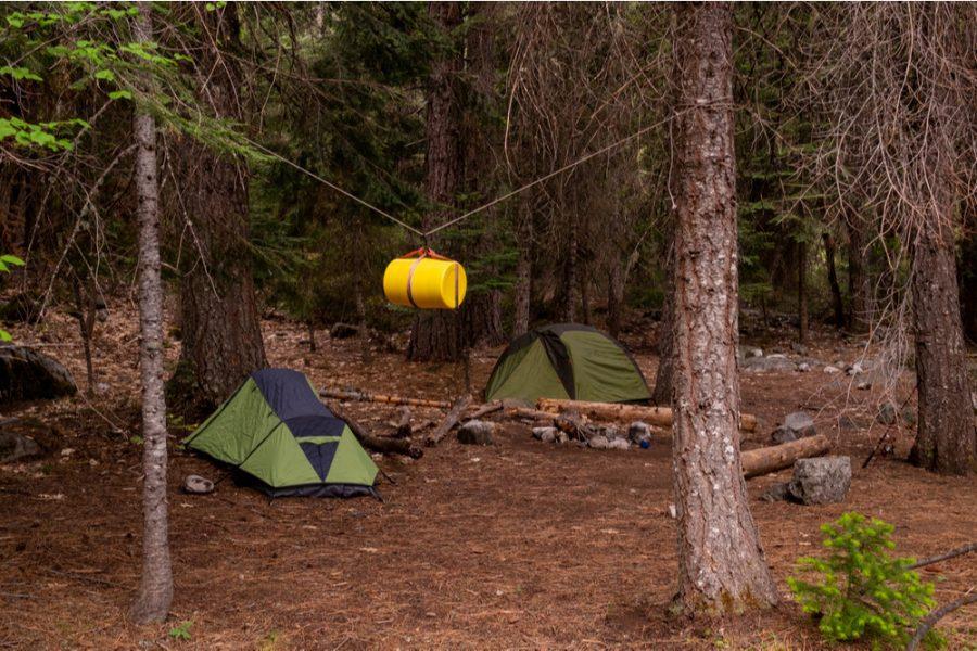 Bear canister at campsite