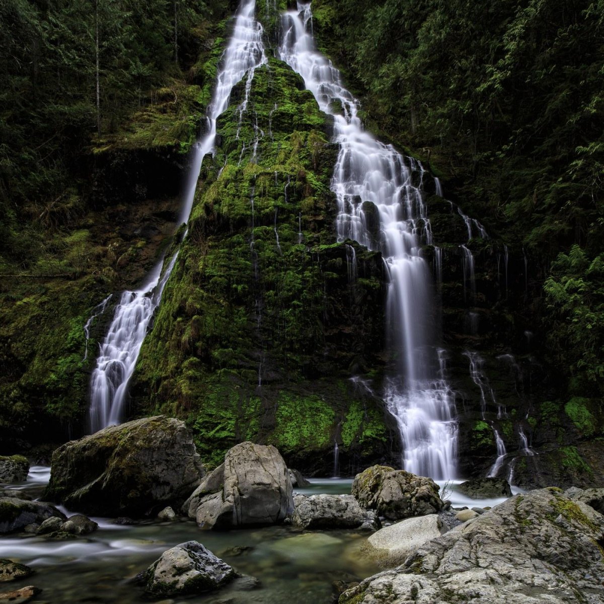 Boulder River Falls forest