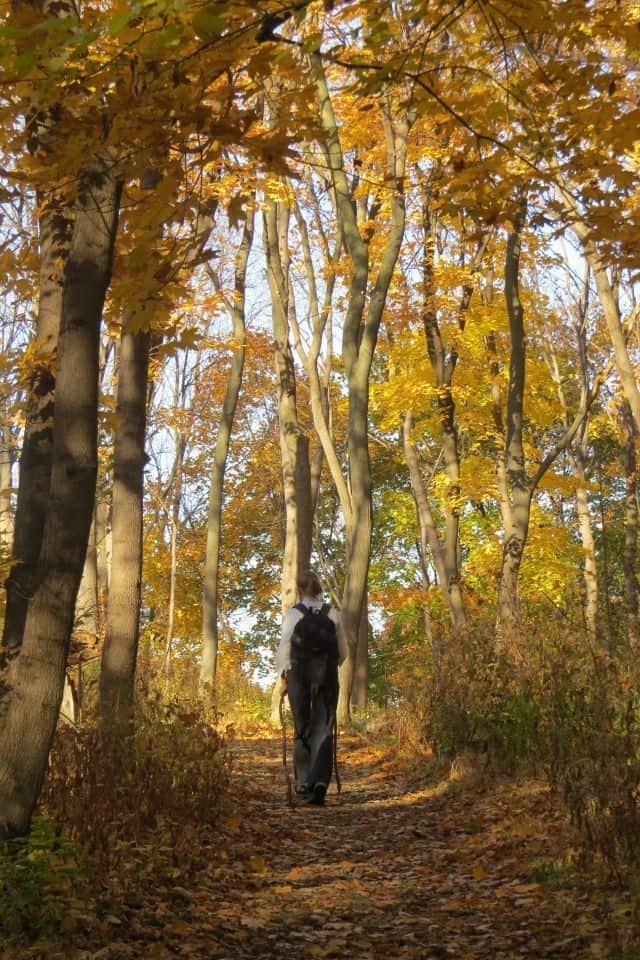Bruce Trail Ontario autumn forest route