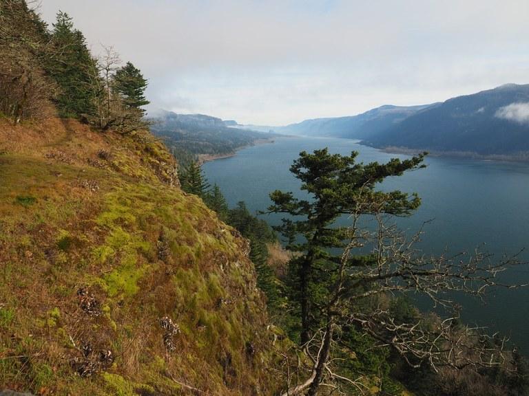 Cape Horn Trail Columbia River Gorge view