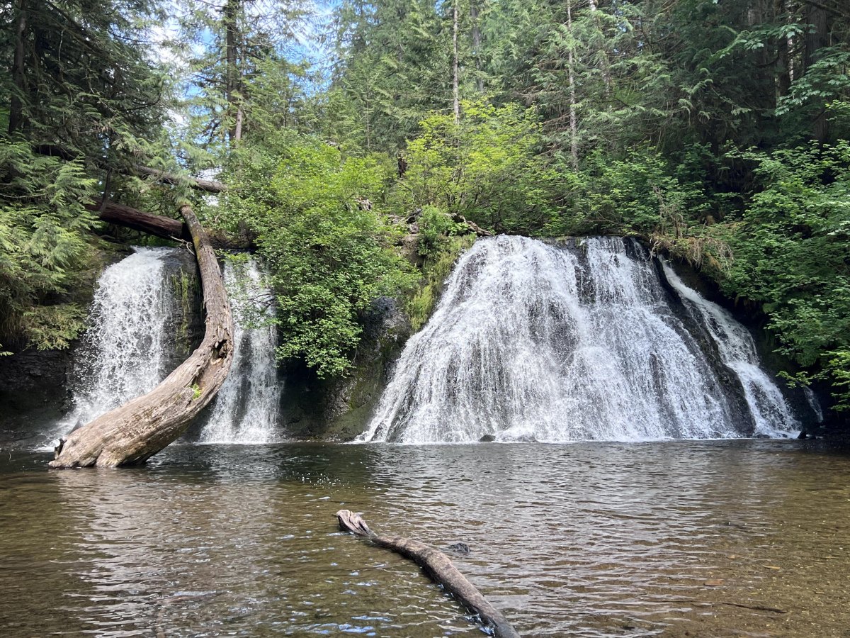 Cherry Creek Falls wooded trail
