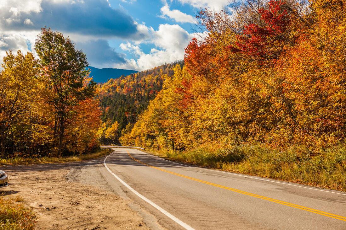 Litchfield Hills road with golden autumn trees