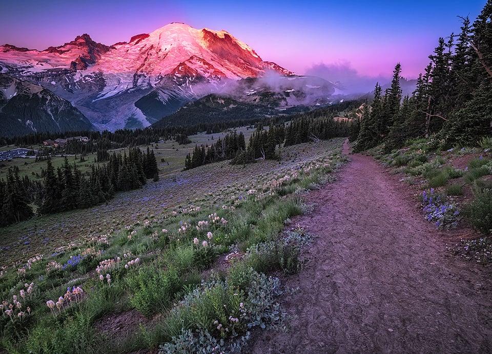 Hiker on sunrise national park trail