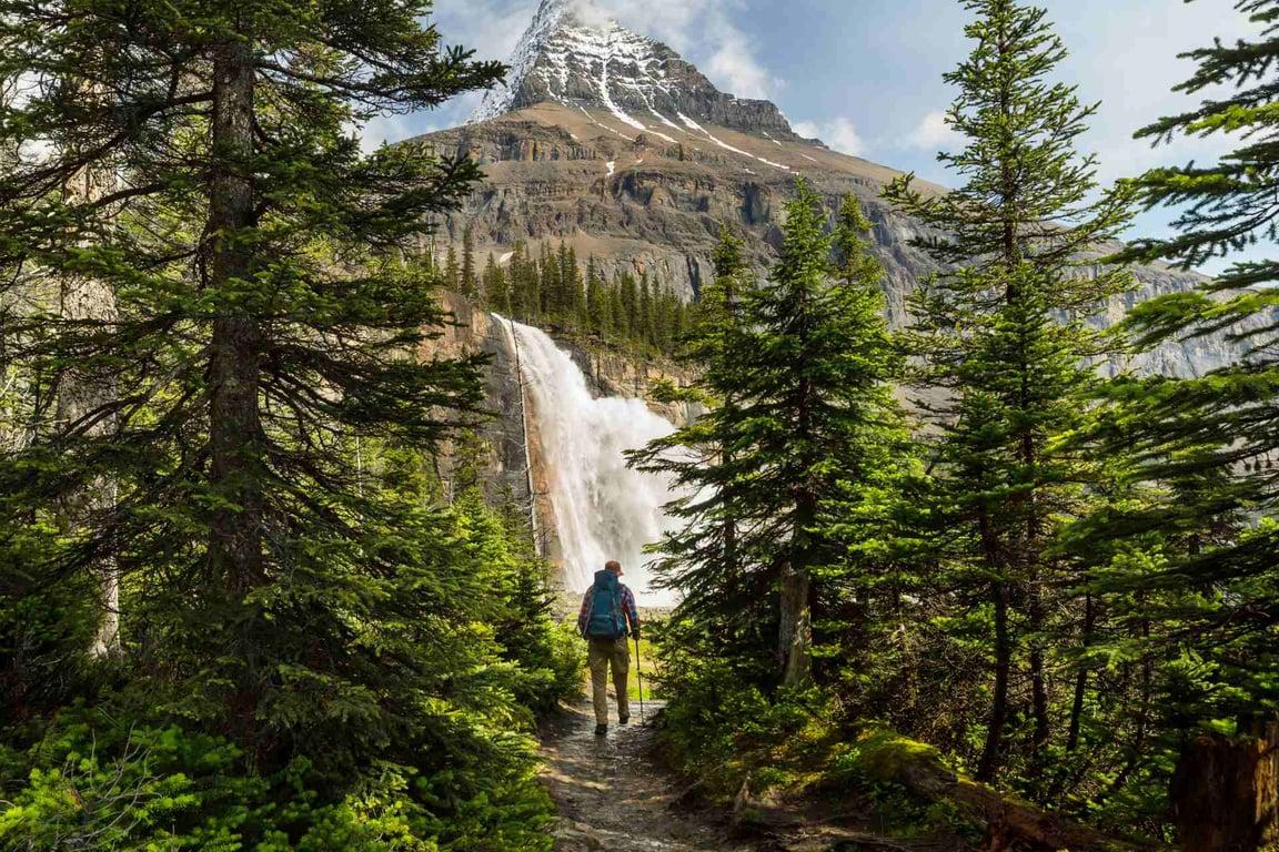 Waterfall beside forest hiking trail