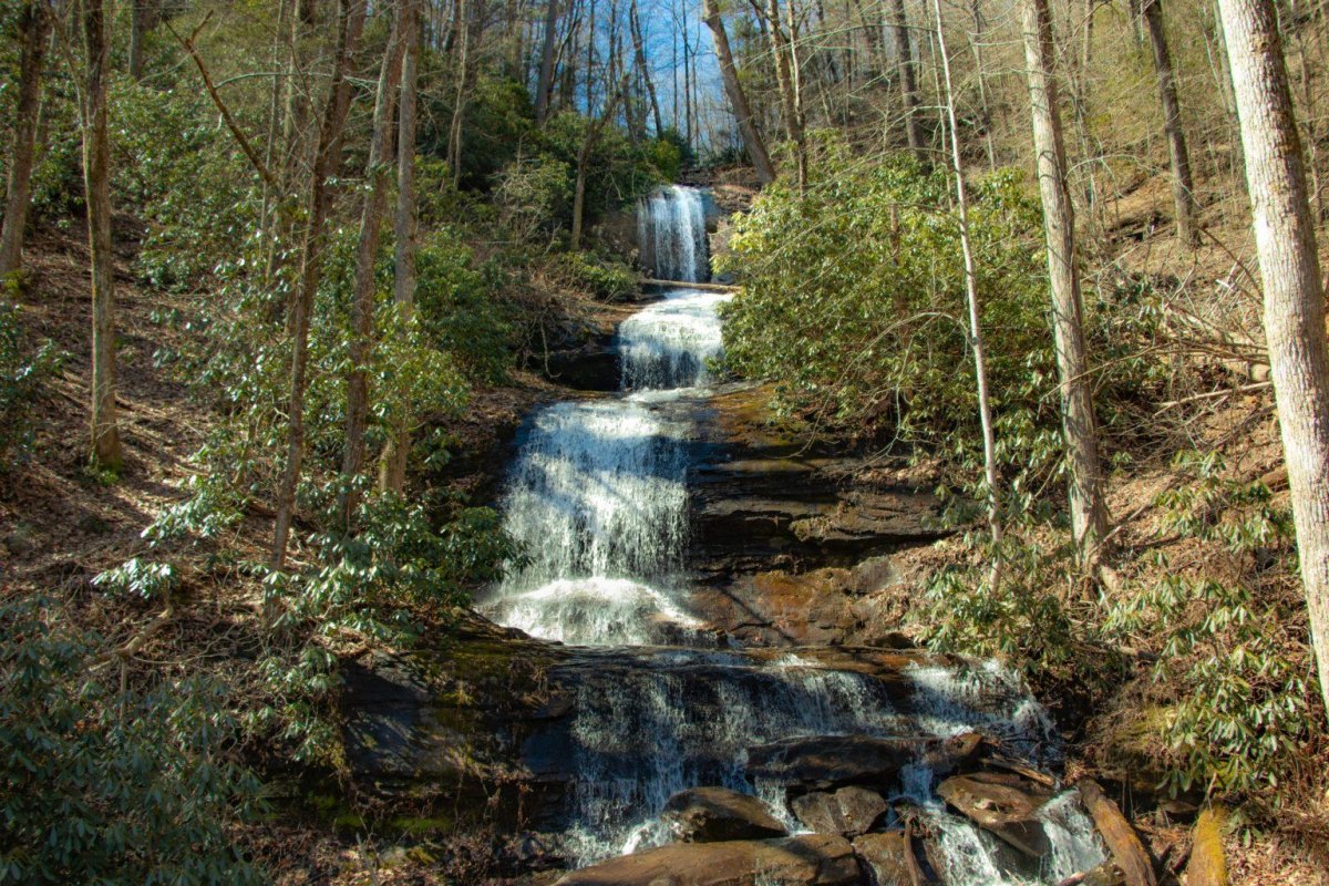 DeSoto Falls Georgia forest waterfall