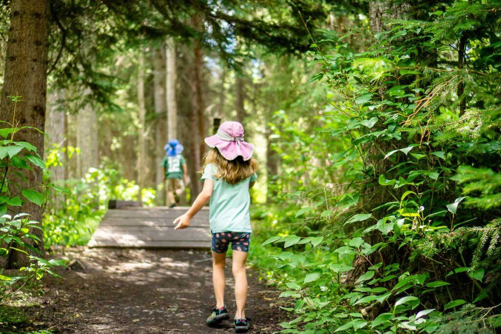 Fenland Trail forest path