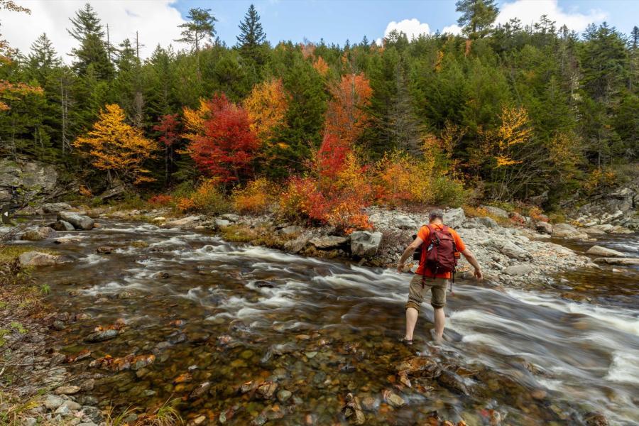 Fundy National Park fall forest trail
