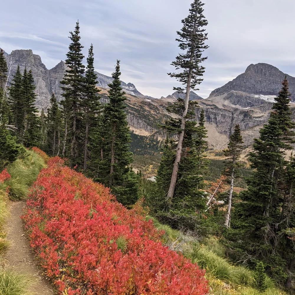 Glacier National Park alpine fall trail
