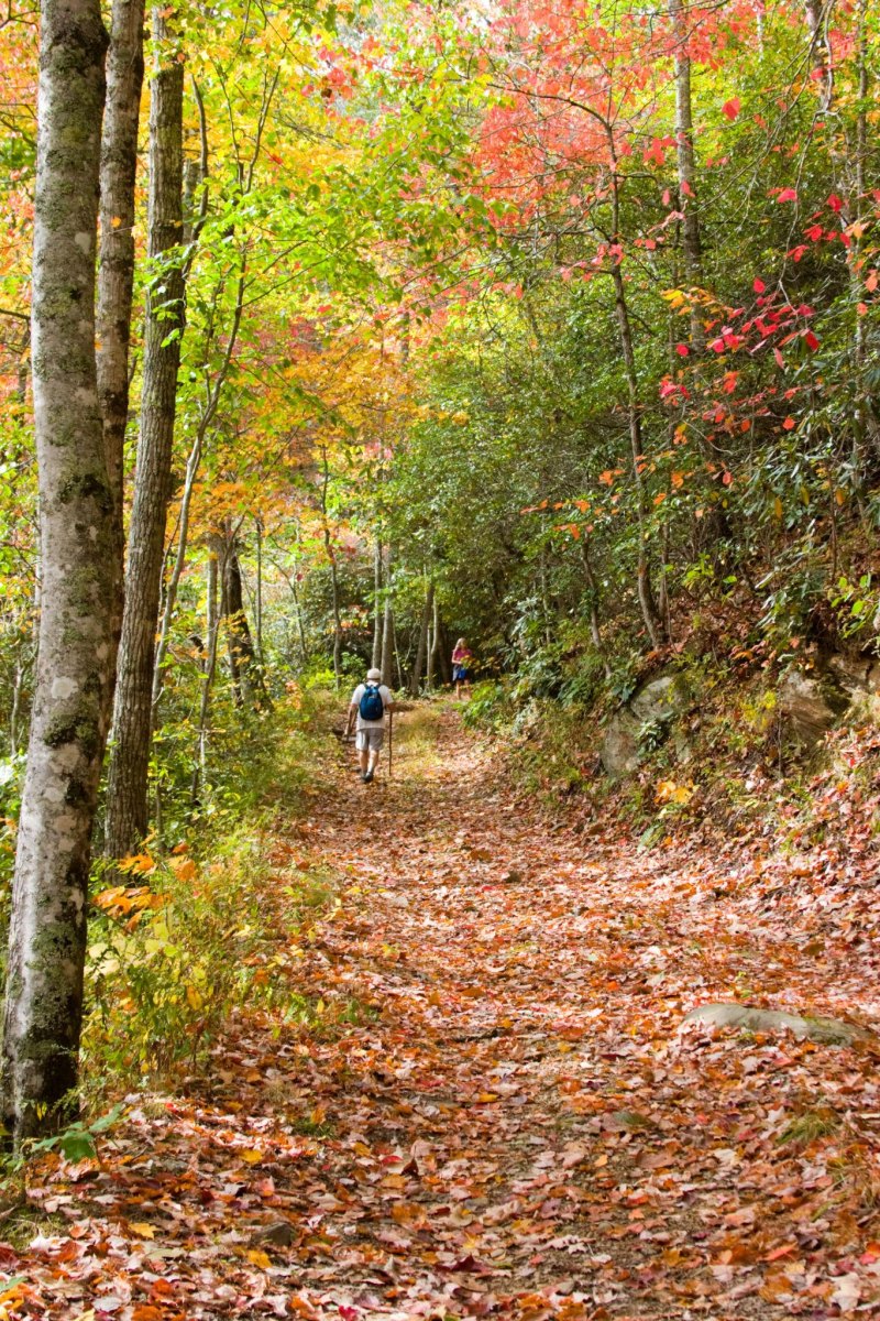 Smoky Mountains autumn forest hiking path