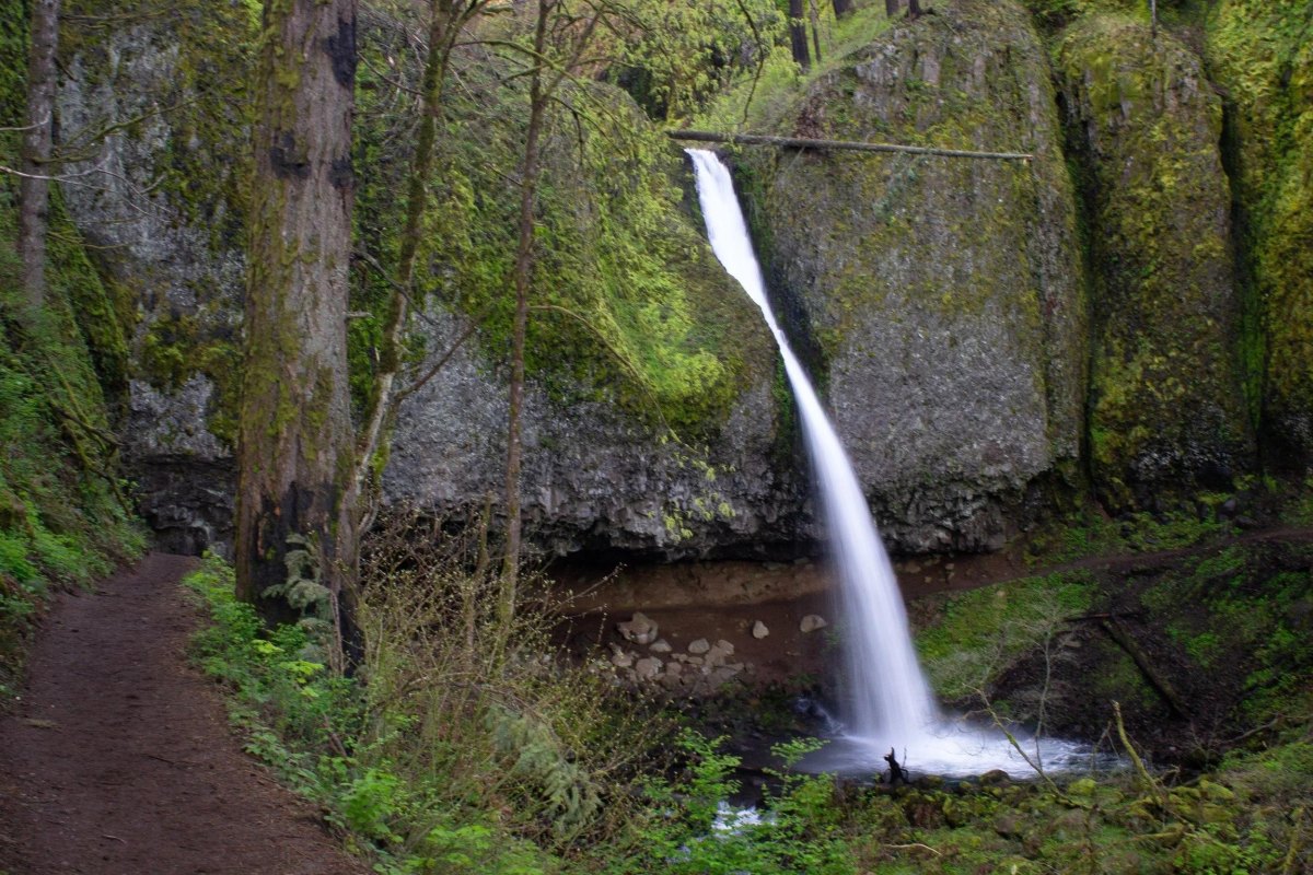 Ponytail Falls trail near Columbia Gorge