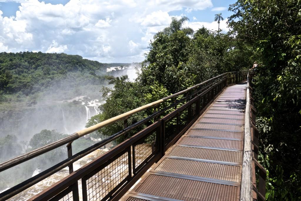 Iguazu Falls jungle trails