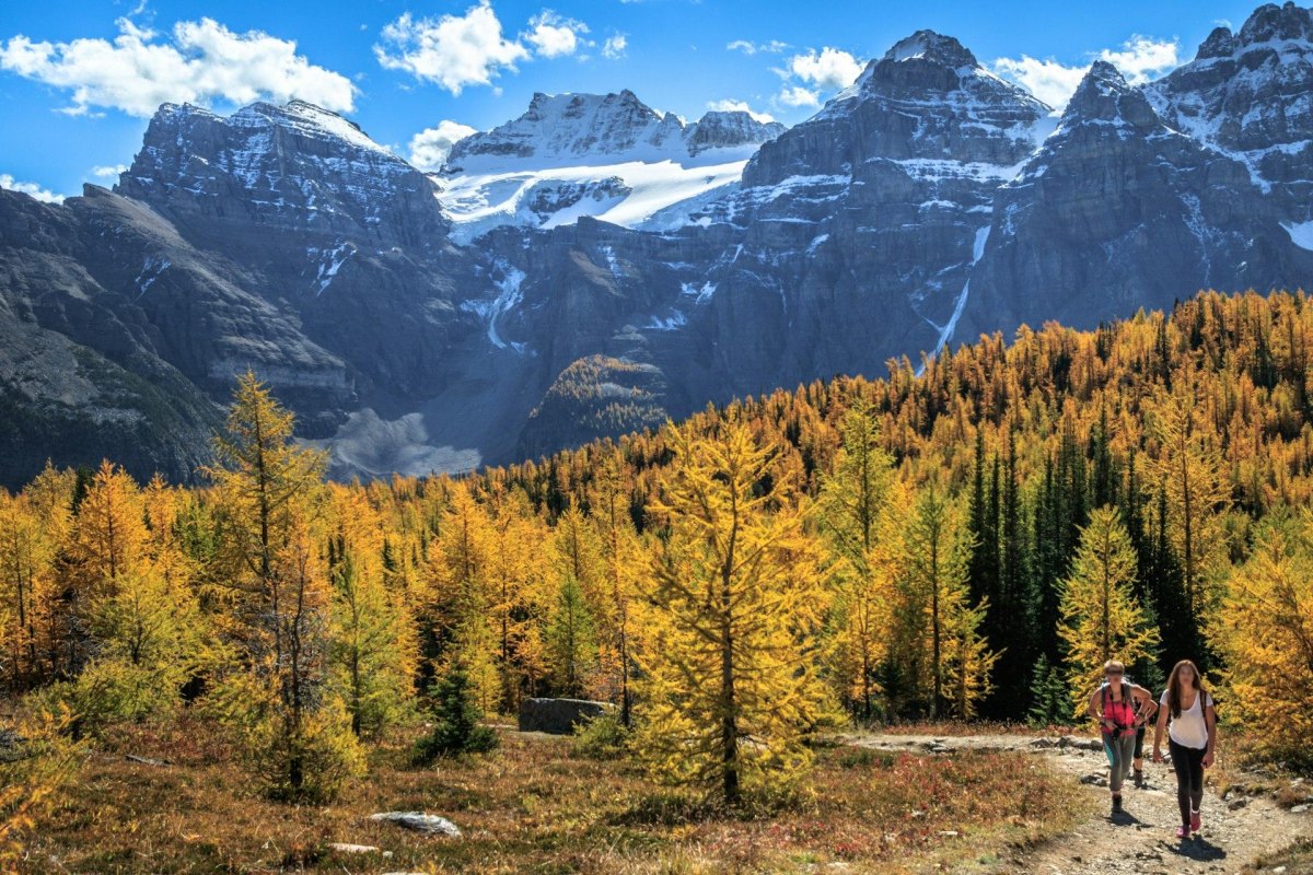 Jasper autumn mountain hiking path