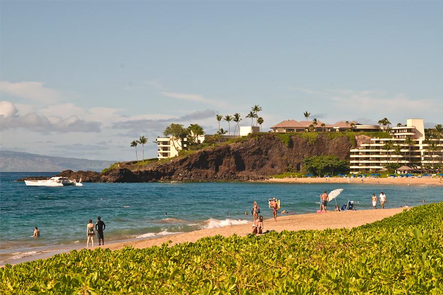 Best Beaches in the USA for Your Next Coastal Escape