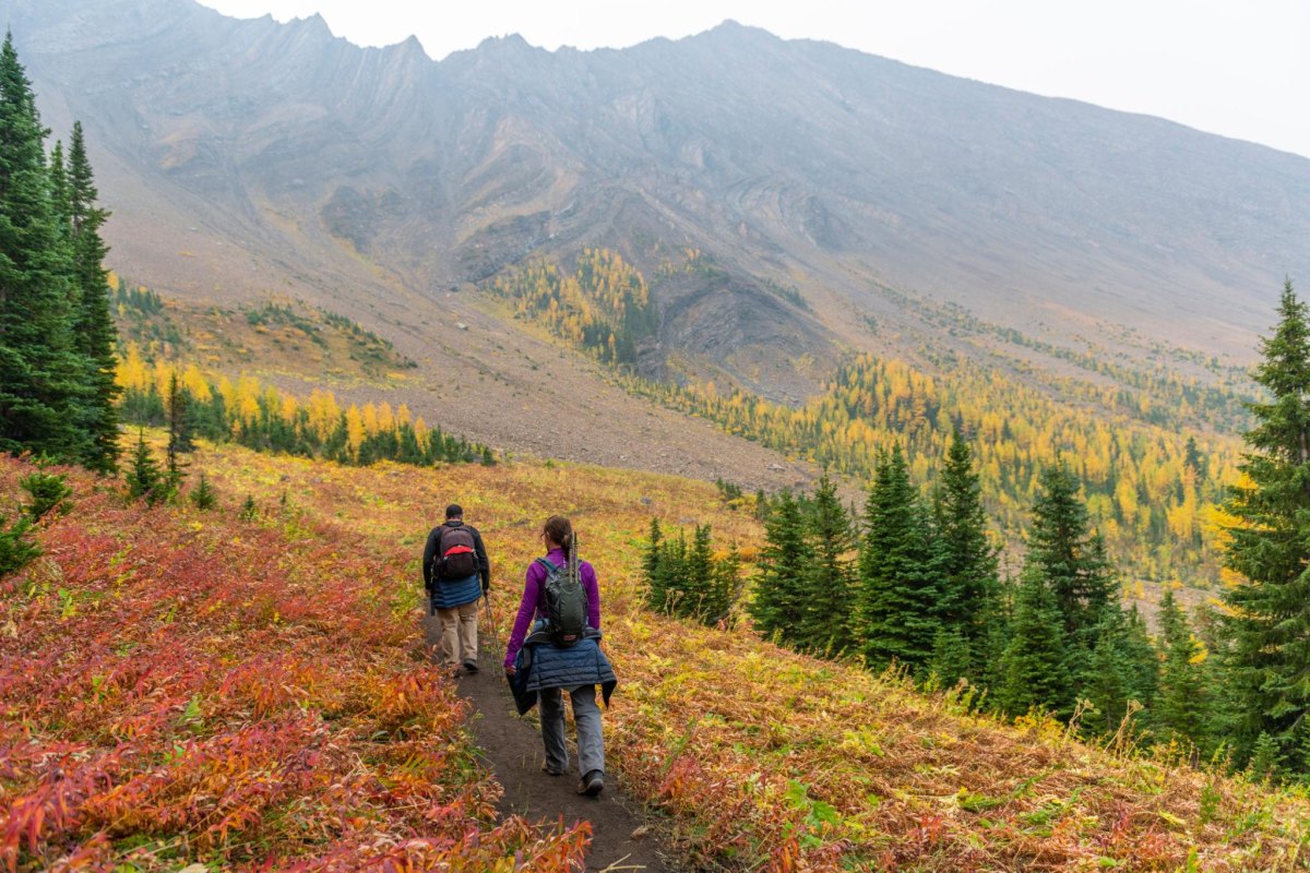 Kananaskis fall wilderness trail Alberta