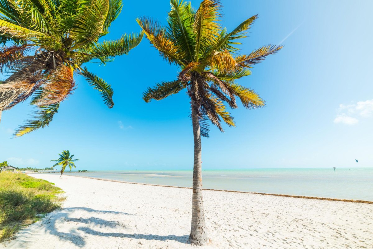 Smathers Beach Key West palms