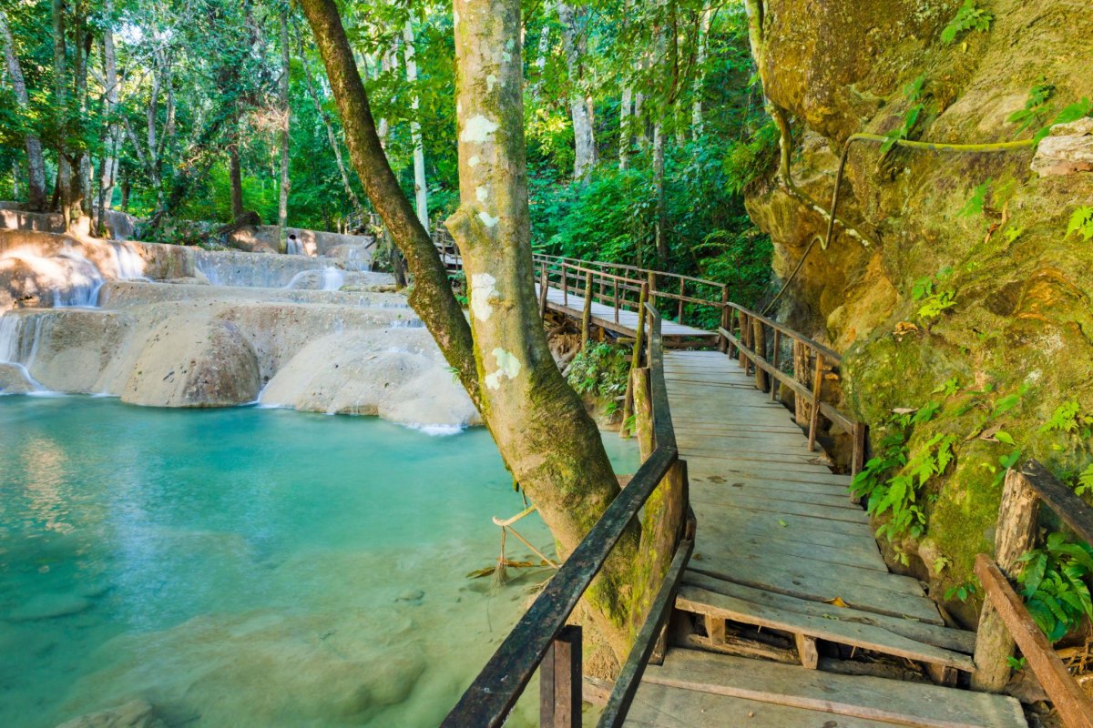 Kuang Si Falls forest trail