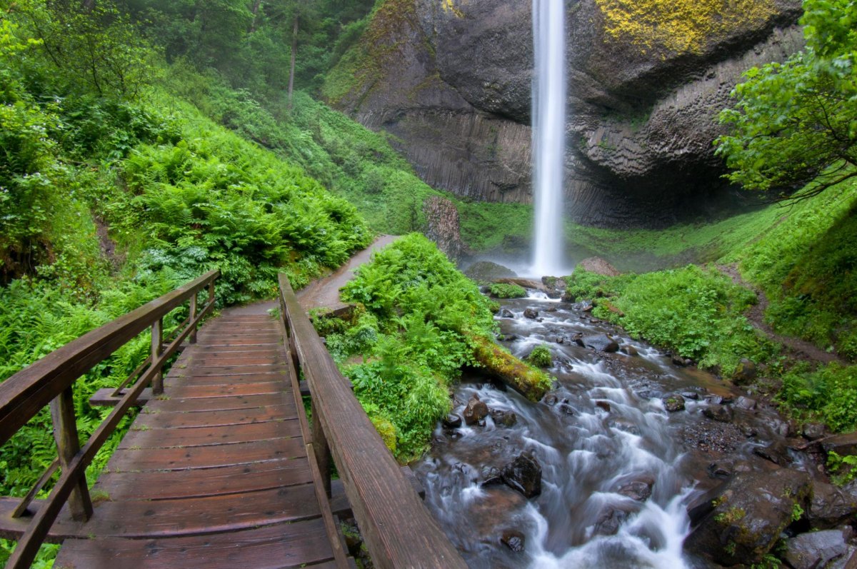 Latourell Falls basalt cliff forest trail