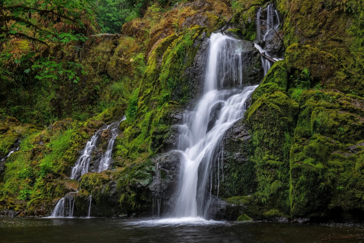 Little Mashel Falls Washington