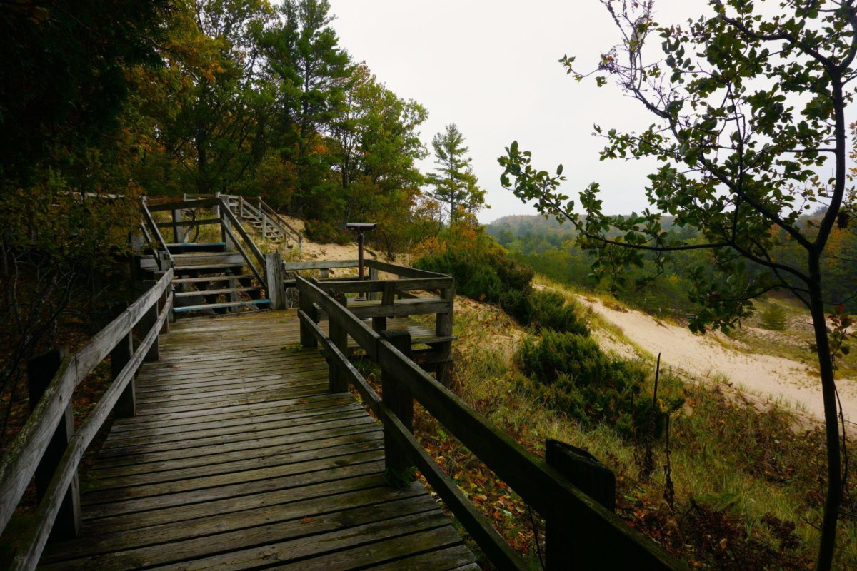 Ludington State Park fall dunes