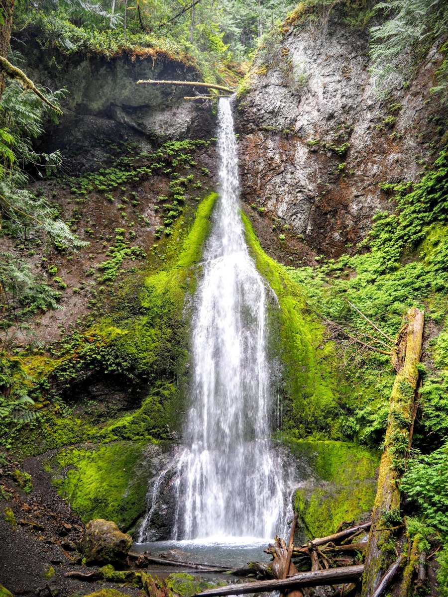 Marymere Falls Olympic forest