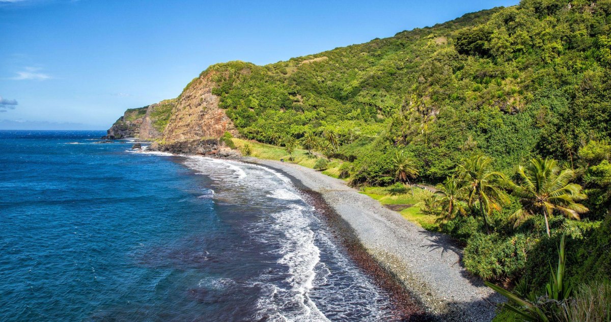 Maui coastline and tropical landscape
