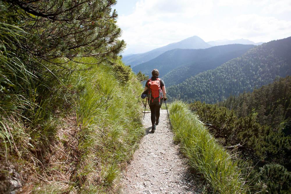 Quiet mountain trail landscape