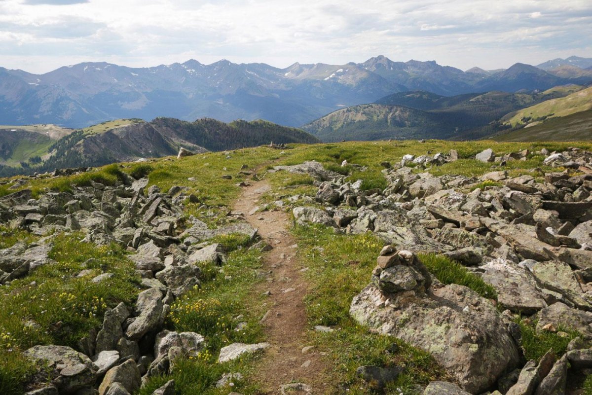 Mount Ida alpine ridge