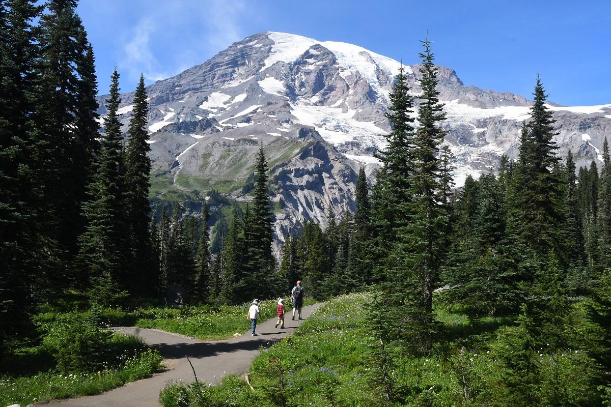 Mount Rainier family hiking meadow