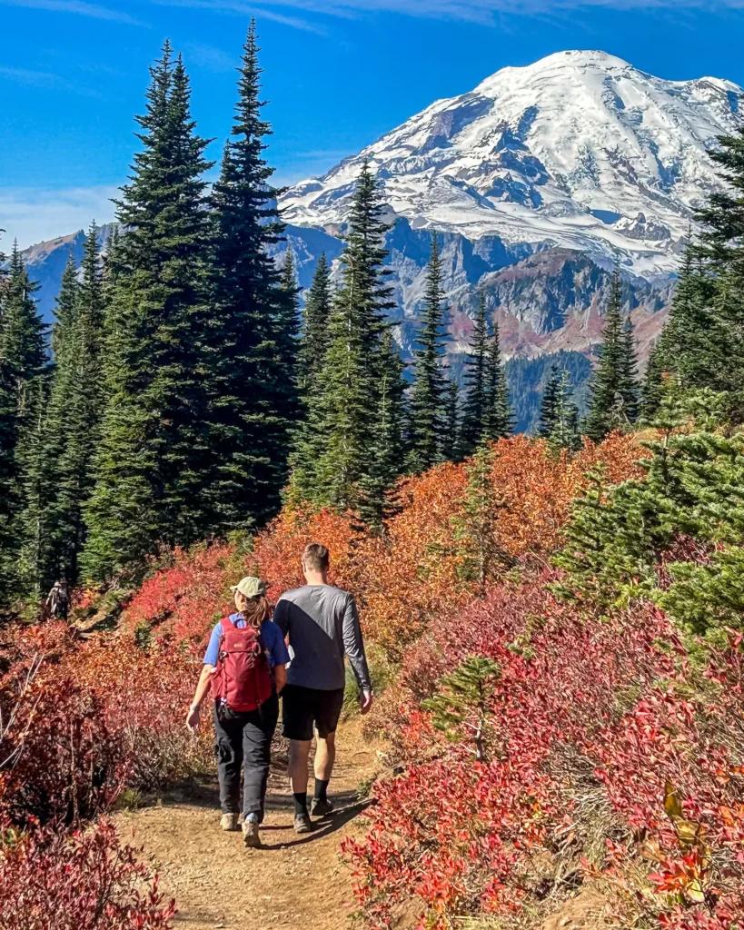Mount Rainier subalpine autumn hiking meadow
