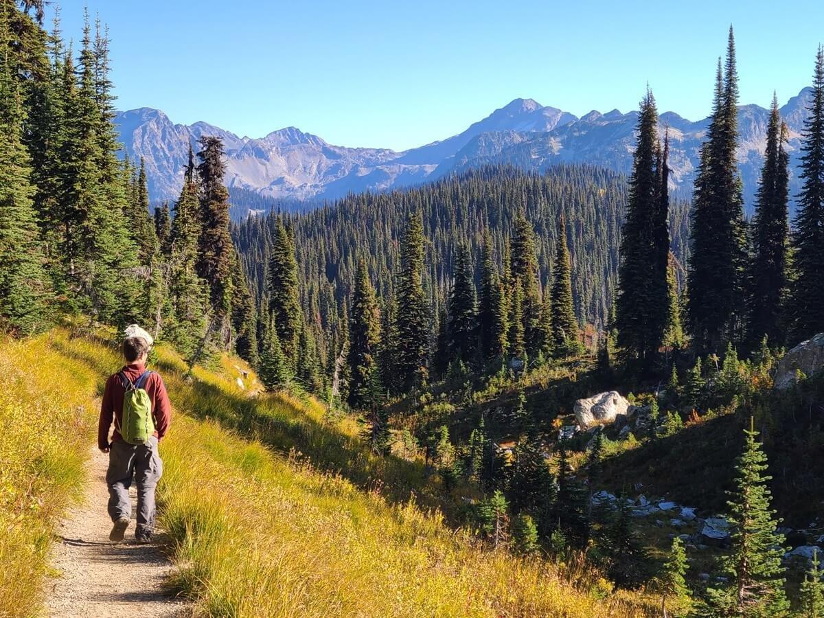 Mount Revelstoke autumn hiking trail
