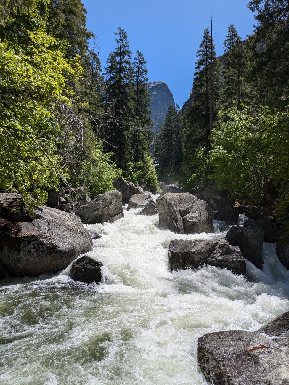 California RV parks near mountain rivers and forest scenery