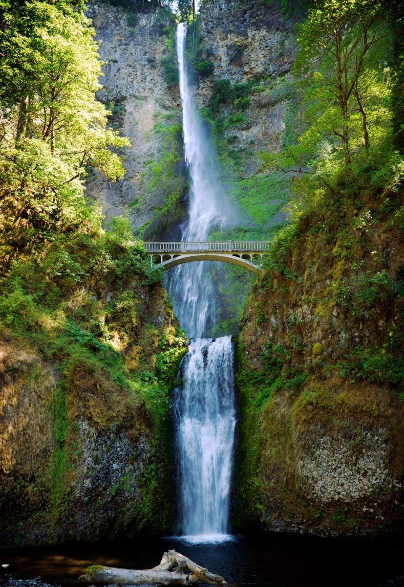 Columbia River Gorge Hikes Worth Adding to Your List