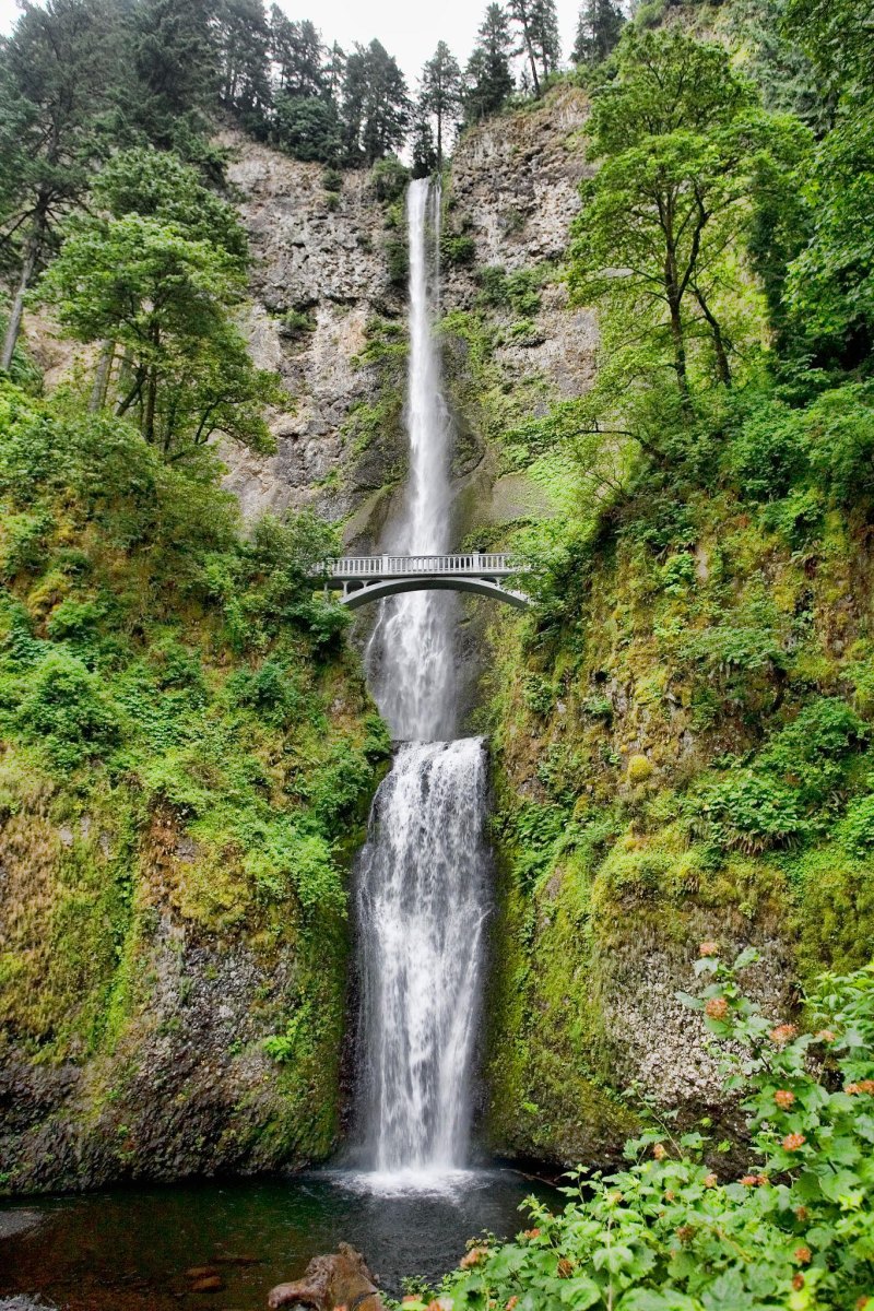 Best Waterfalls in Oregon to Visit for Epic Views
