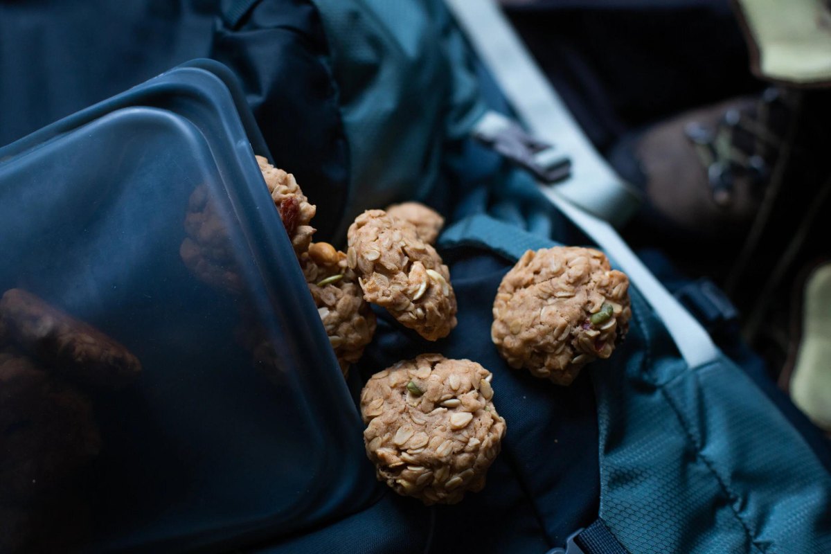 Oatmeal cookies hiking snack