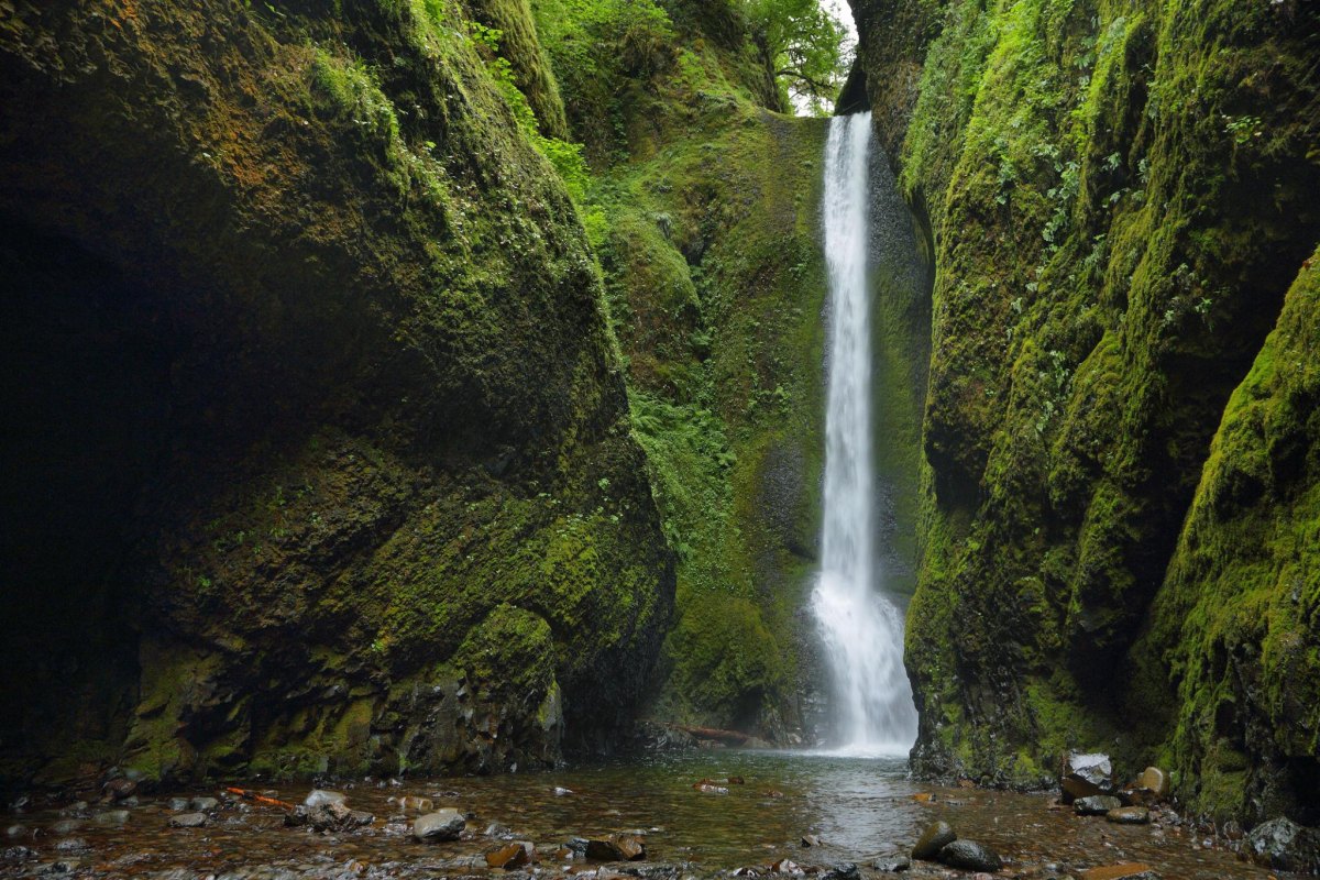 Oneonta Gorge Falls Oregon