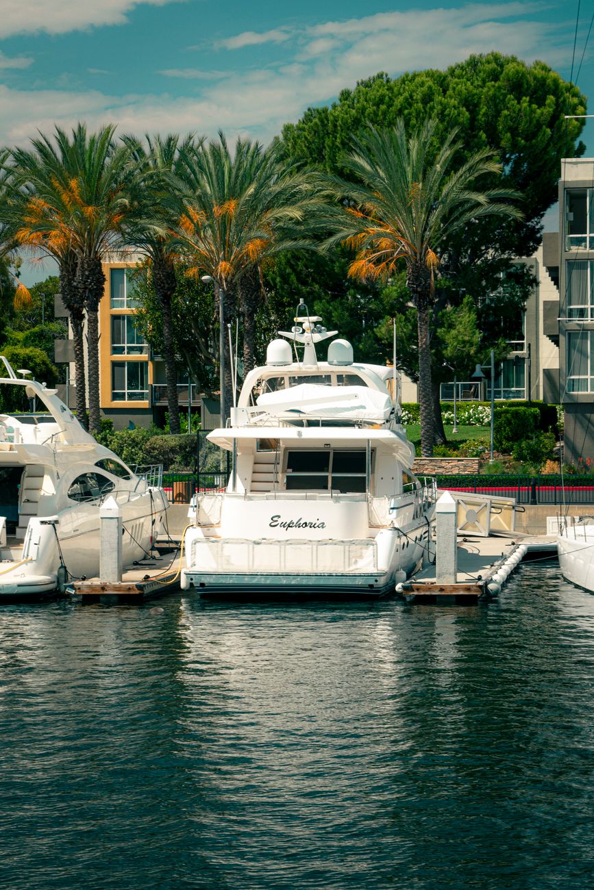 California RV parks with palm trees and waterfront atmosphere