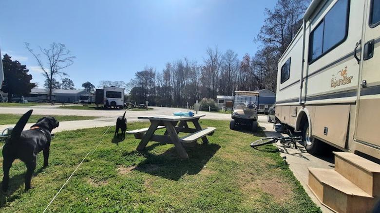Pet friendly RV campground Myrtle Beach
