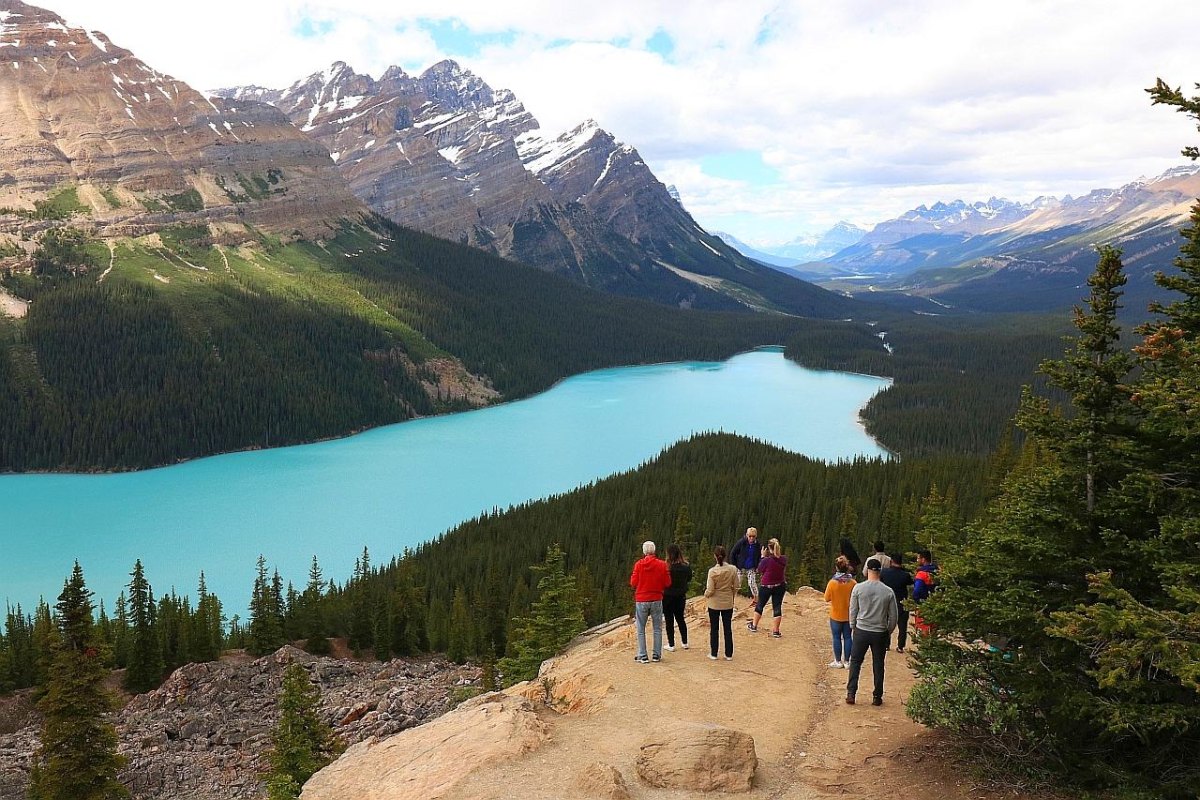 Peyto Lake viewpoint overlook
