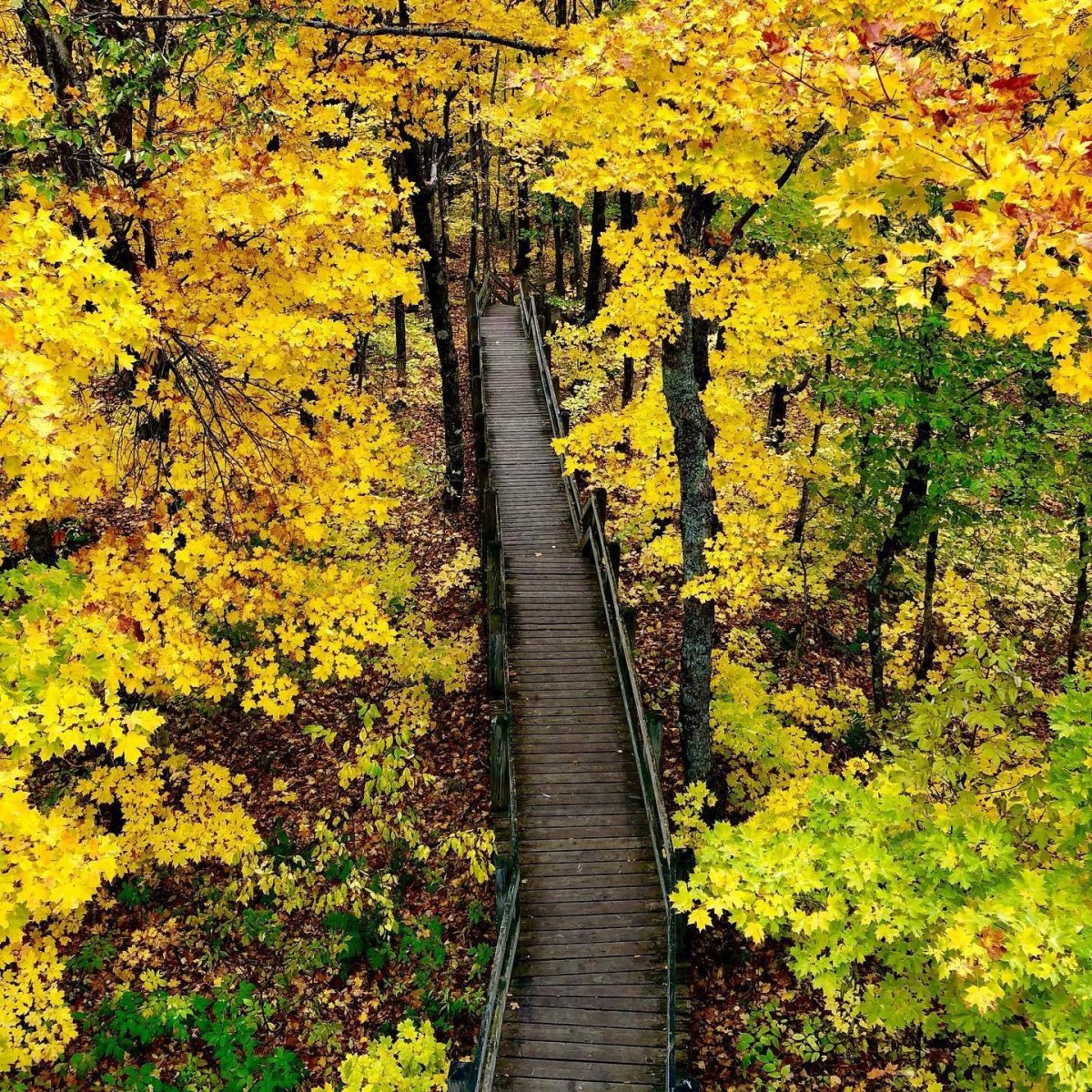 Michigan Fall Foliage Hiking Trails Worth Exploring