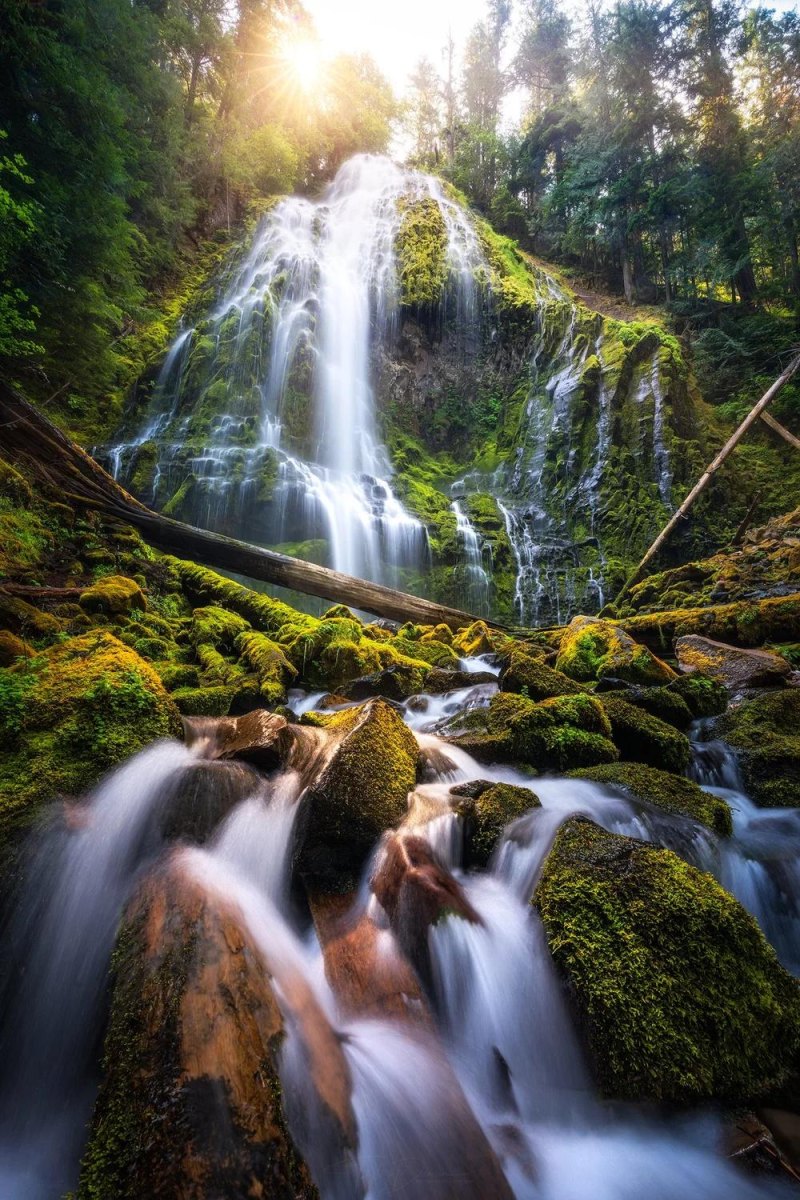 Proxy Falls Oregon wilderness