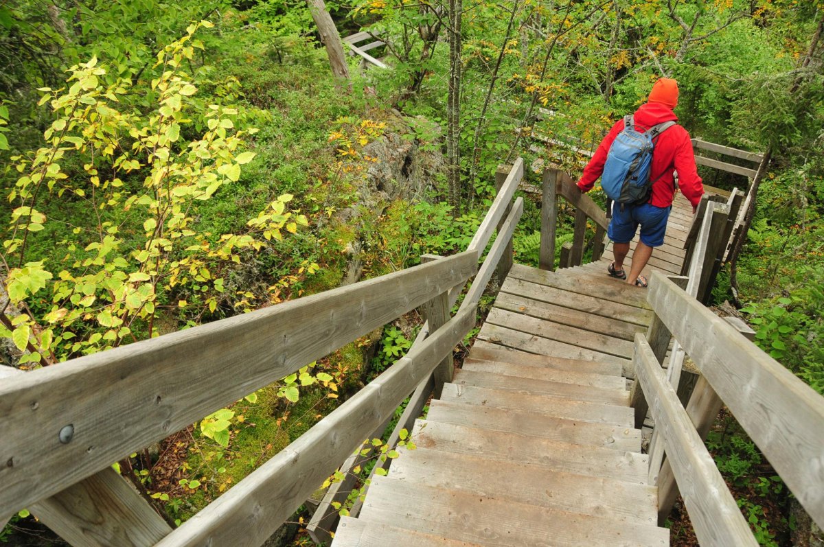 Pukaskwa autumn wilderness hiking trail