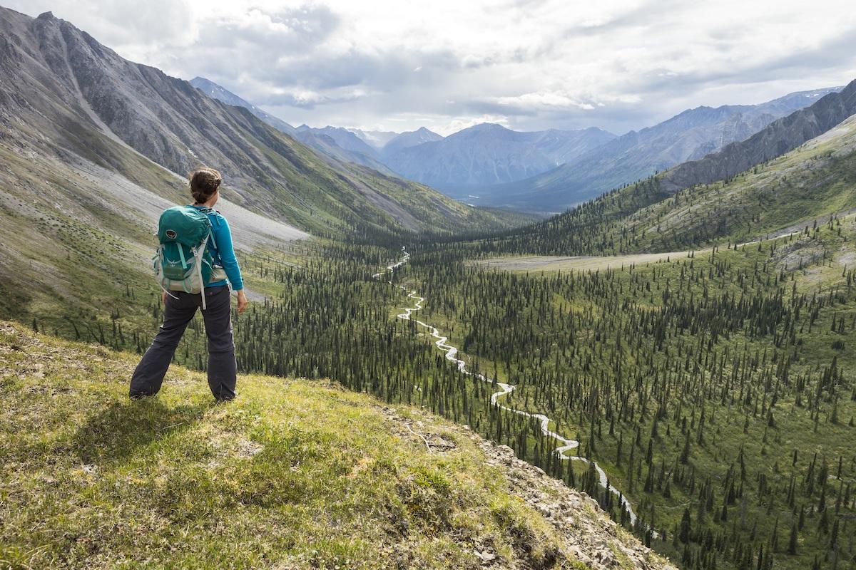 Hiker overlooking preserved wilderness