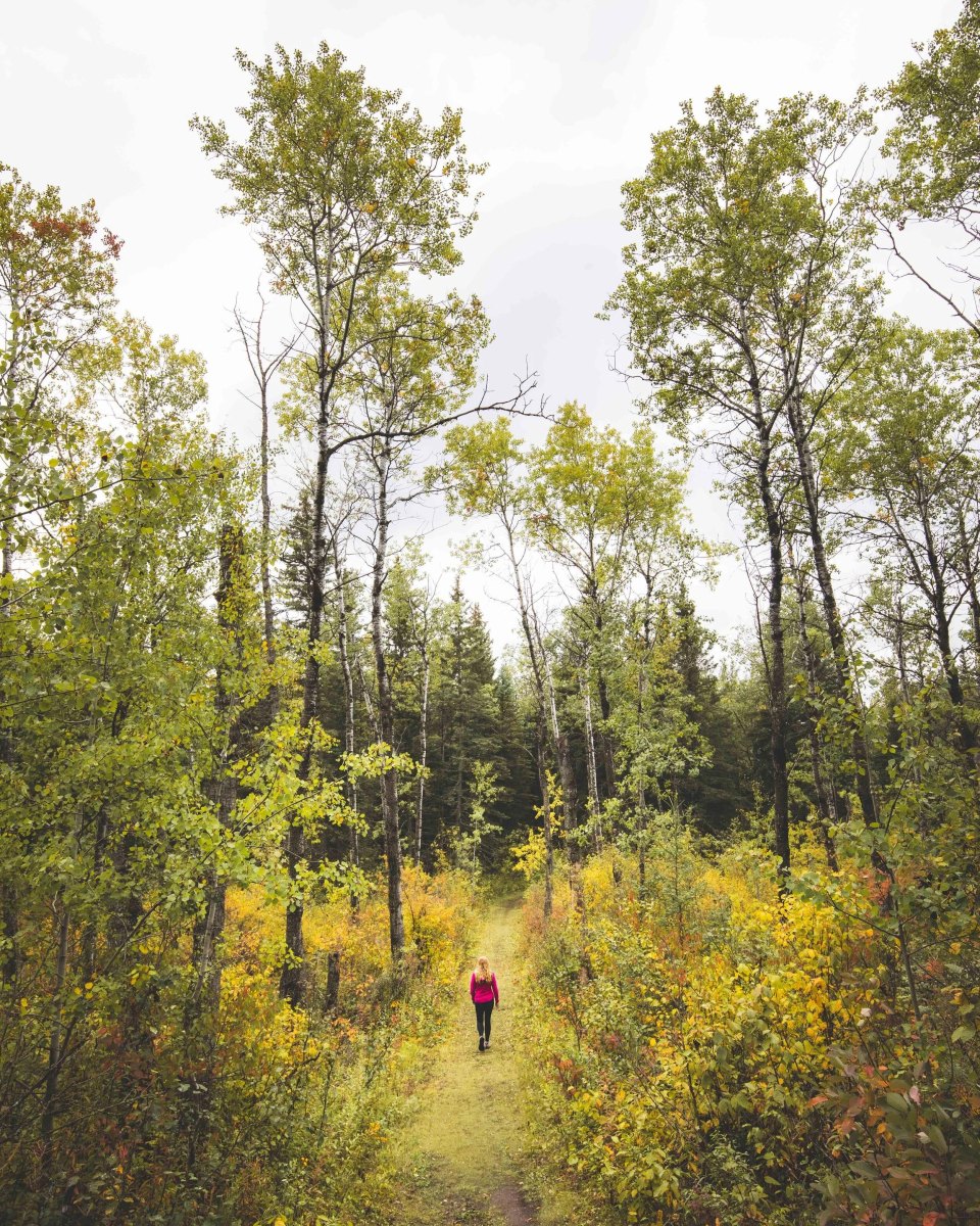 Riding Mountain autumn walking trail