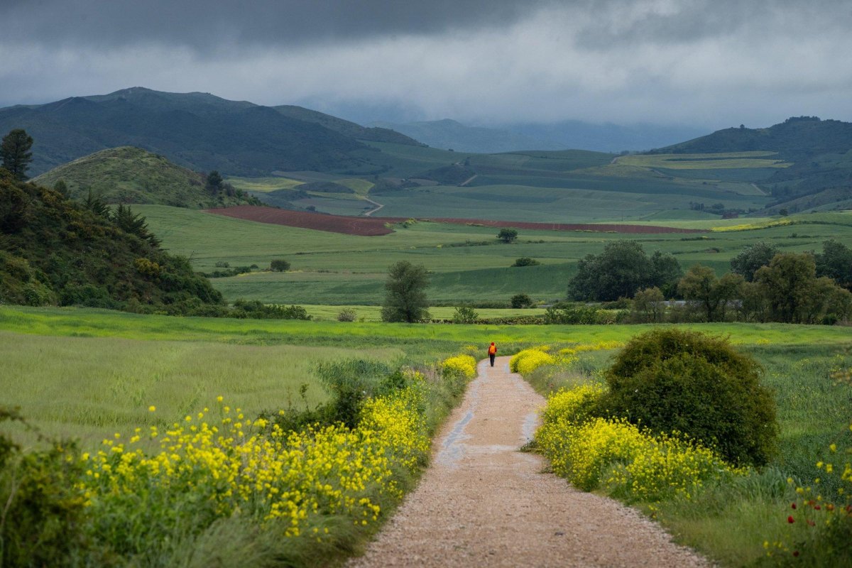 Camino landscape in different seasons