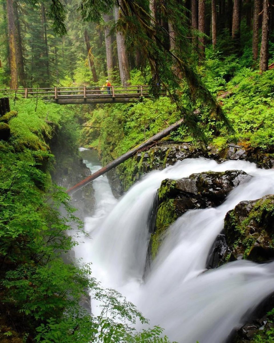 Sol Duc Falls Olympic rainforest